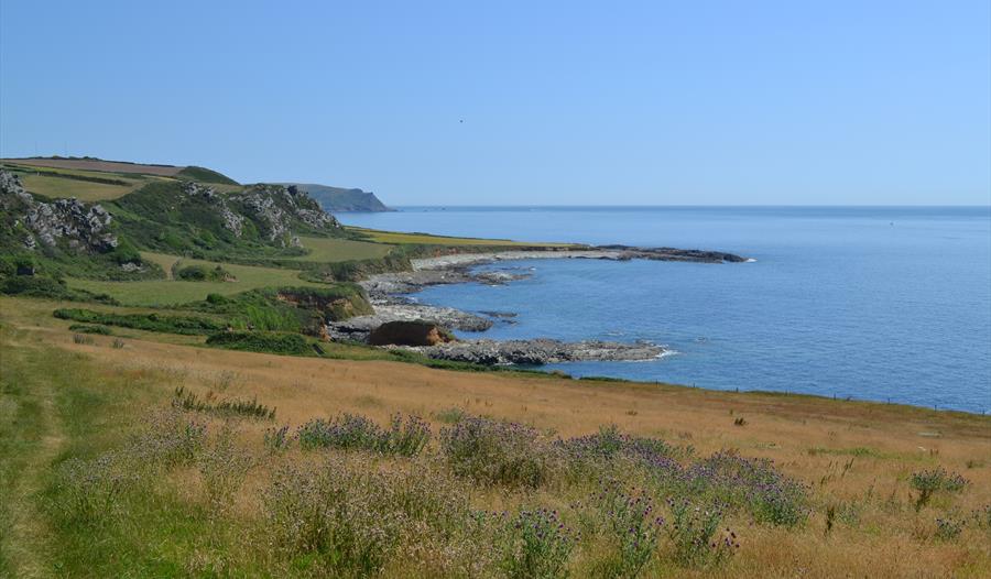 Prawle Point coastal walk