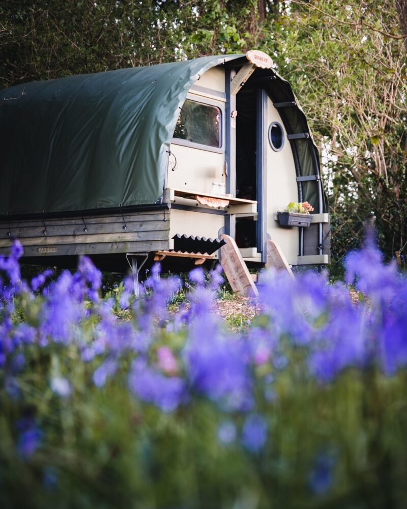 Wildflower Wood Glamping Pod Review: A beautiful Eco-holiday in West Cornwall