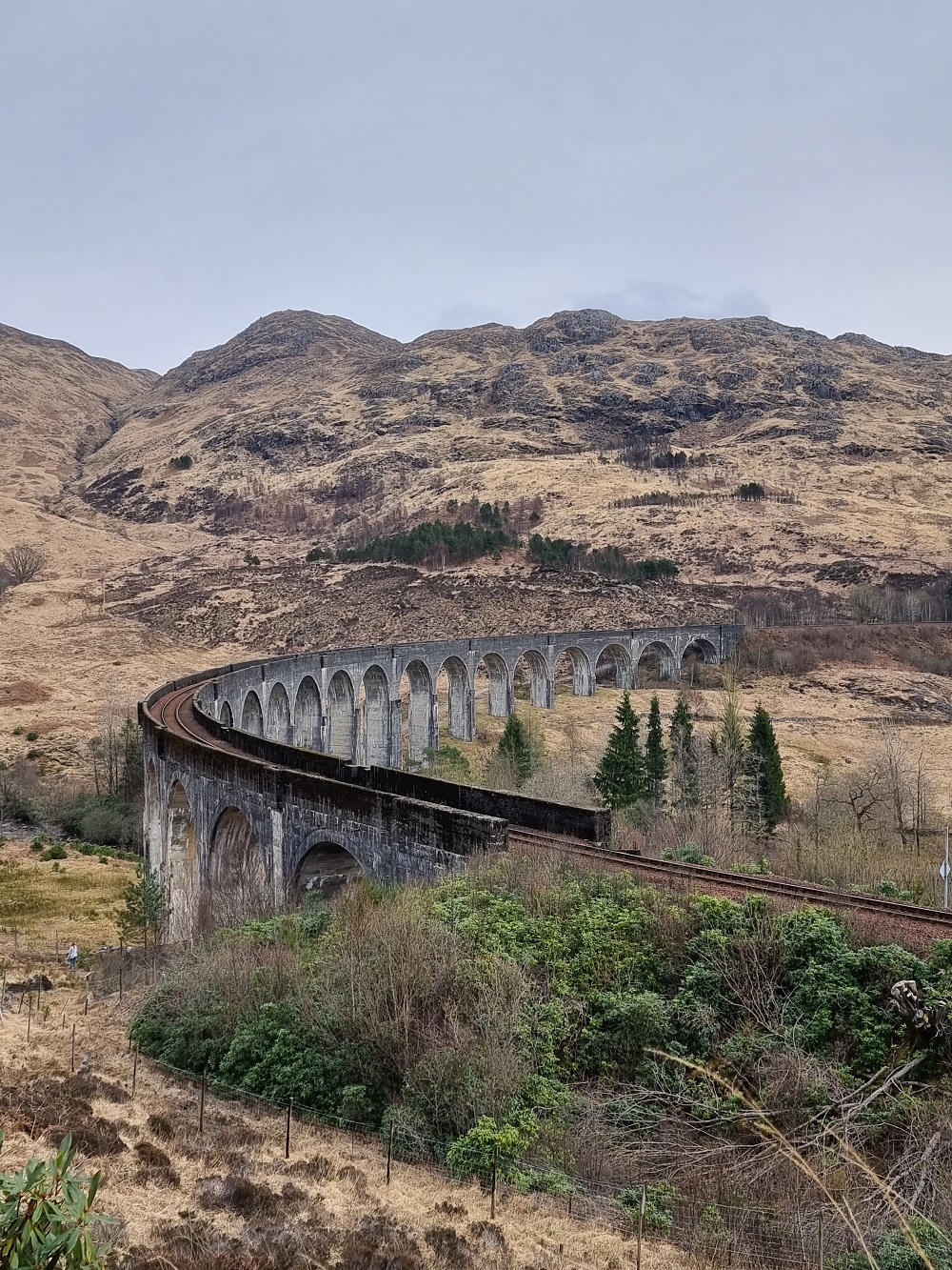 Glenfinnan Viaduct Harry Potter Train