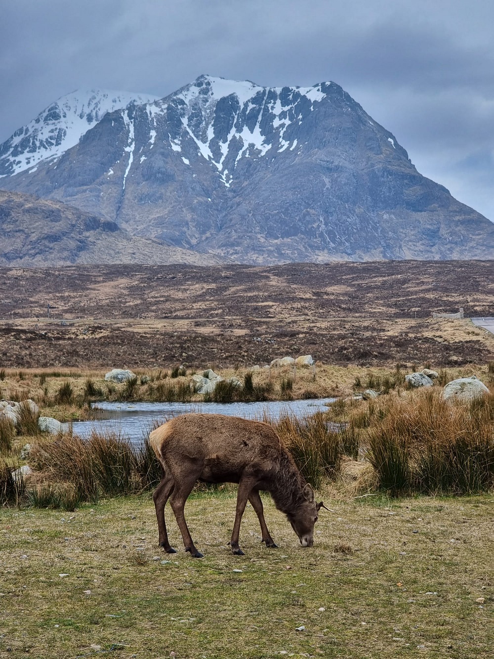 Glencoe Kingshouse Hotel